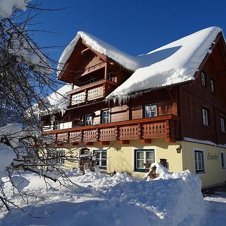 Linarhof Apartment Urlaub Am Bio Bauernhof Haus im Ennstal Kültér fotó
