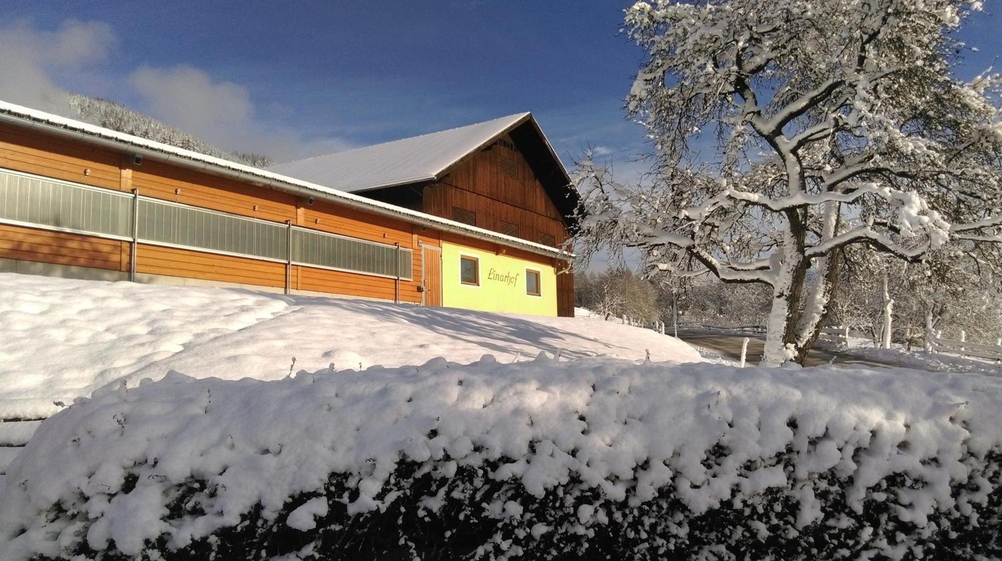 Linarhof Apartment Urlaub Am Bio Bauernhof Haus im Ennstal Kültér fotó
