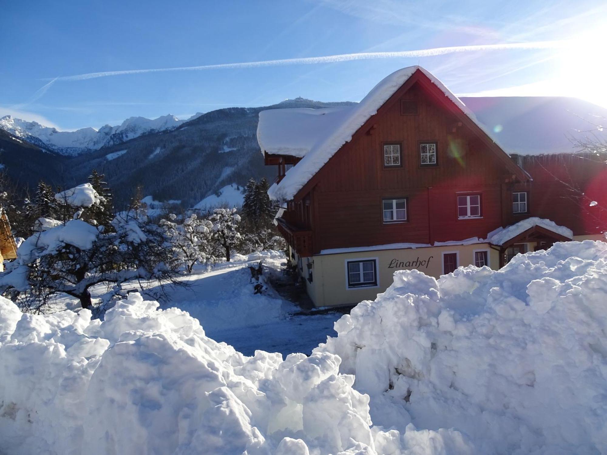 Linarhof Apartment Urlaub Am Bio Bauernhof Haus im Ennstal Kültér fotó