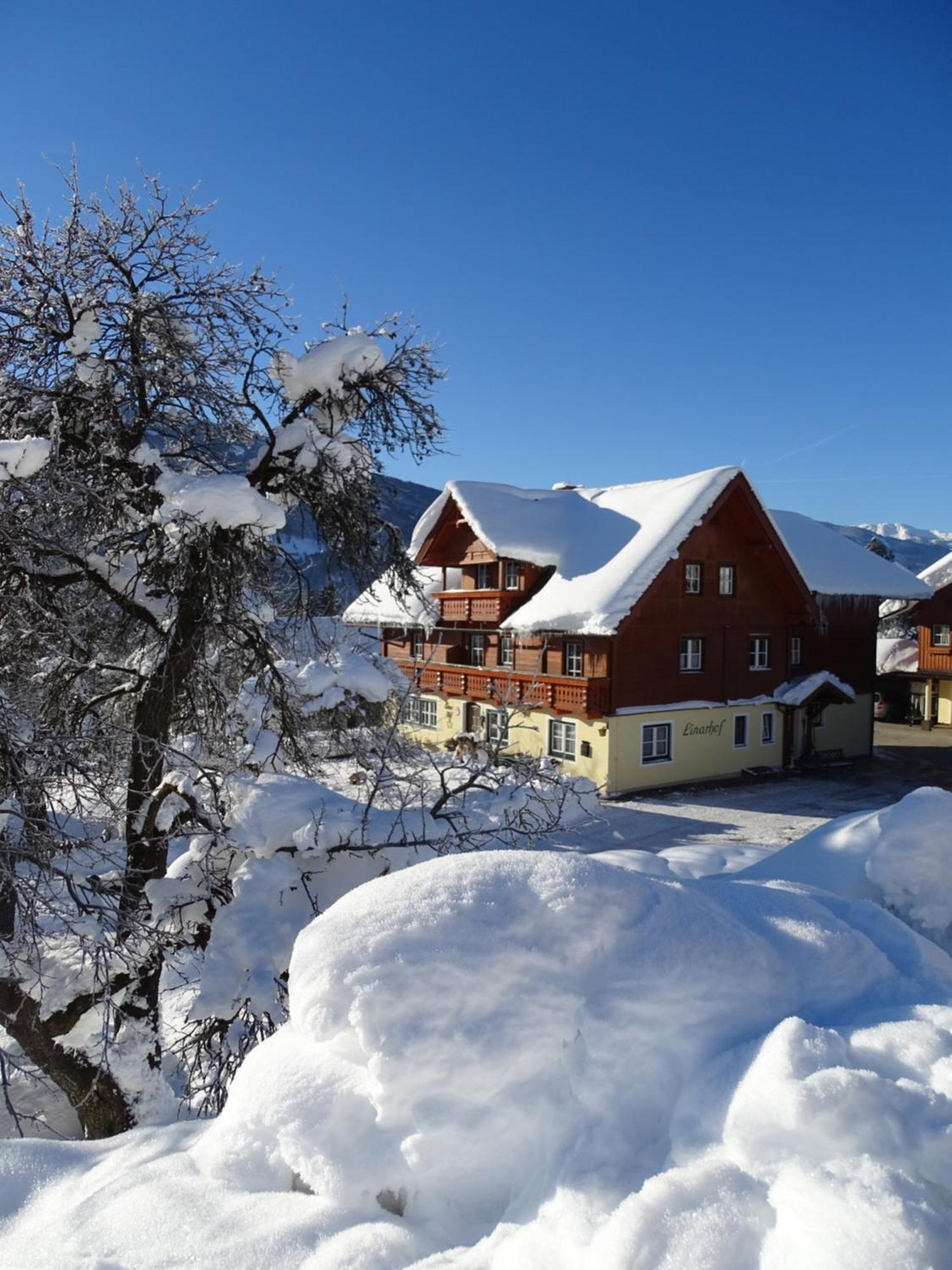 Linarhof Apartment Urlaub Am Bio Bauernhof Haus im Ennstal Kültér fotó