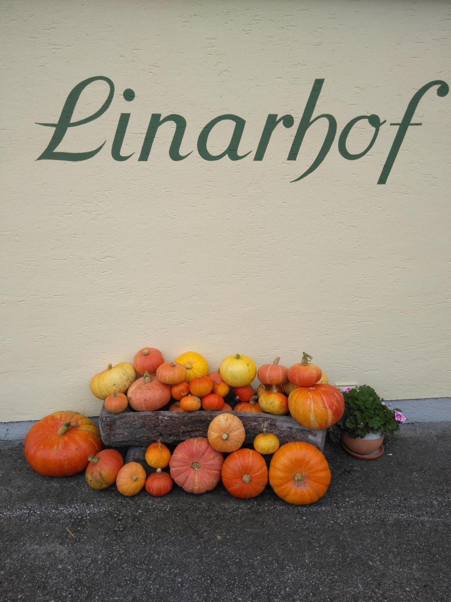 Linarhof Apartment Urlaub Am Bio Bauernhof Haus im Ennstal Kültér fotó