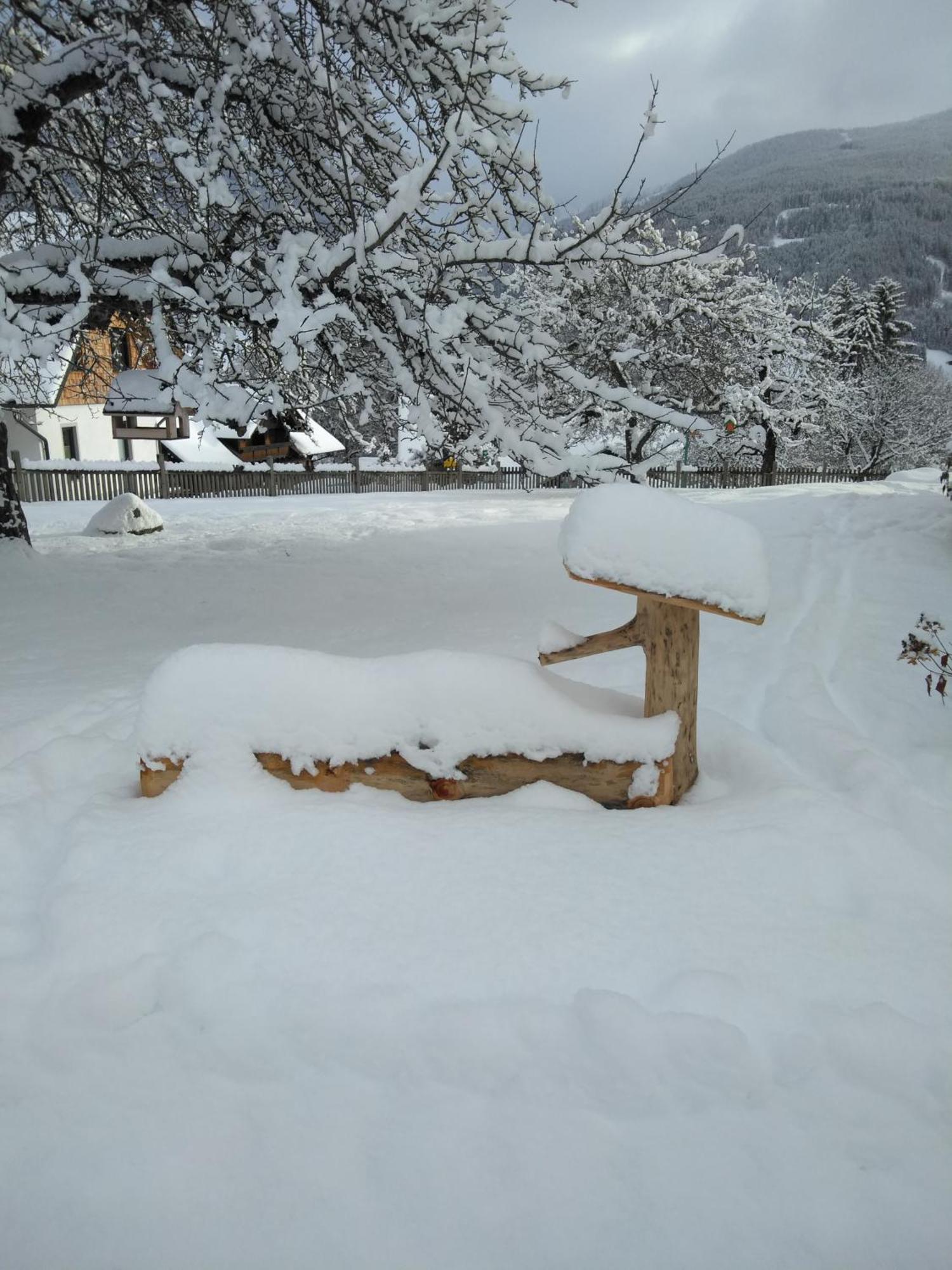 Linarhof Apartment Urlaub Am Bio Bauernhof Haus im Ennstal Kültér fotó